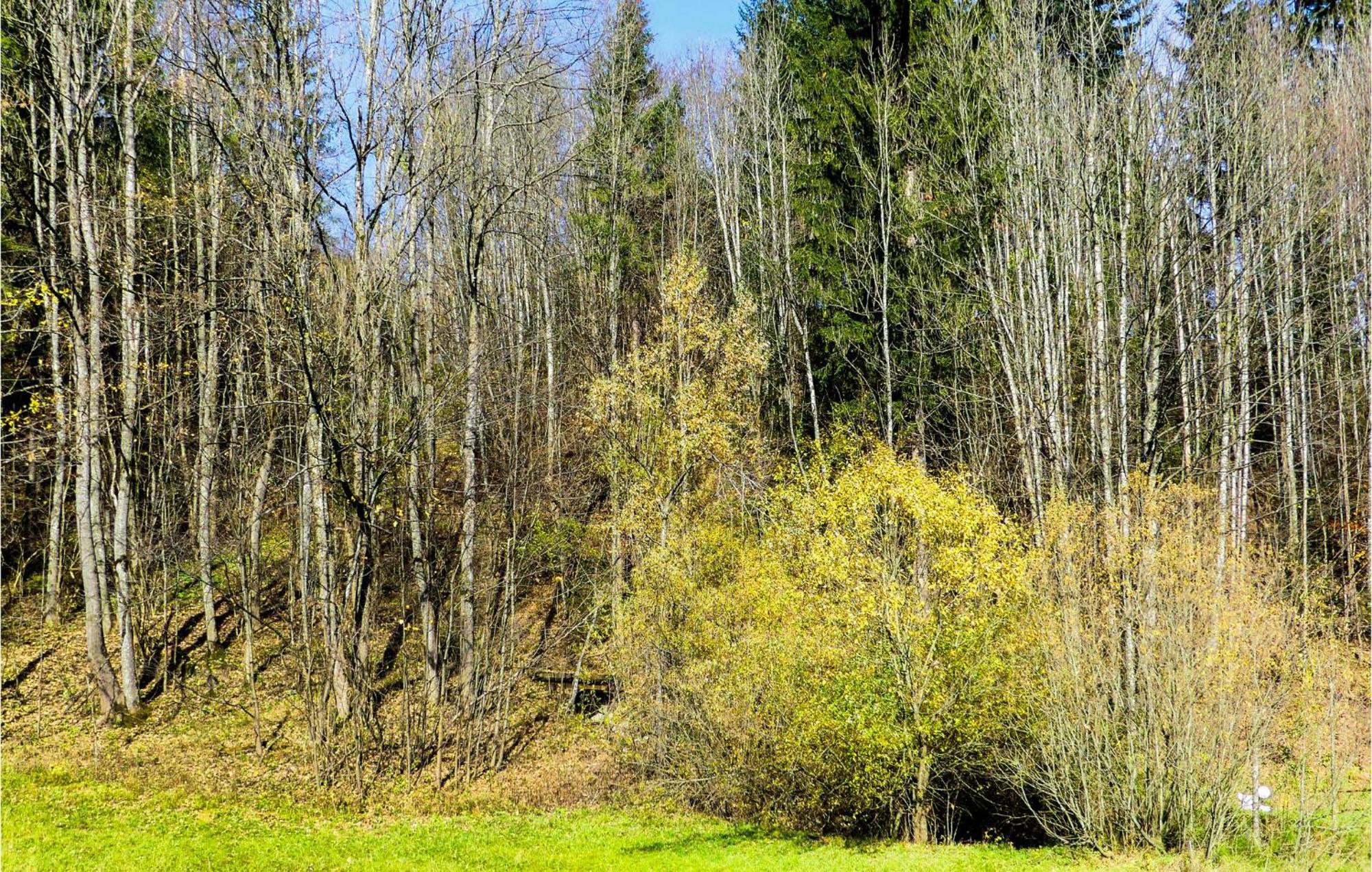Two-Bedroom Apartment in Annaberg/Lammertal Buitenkant foto